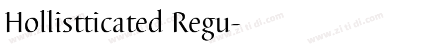 Hollistticated Regu字体转换